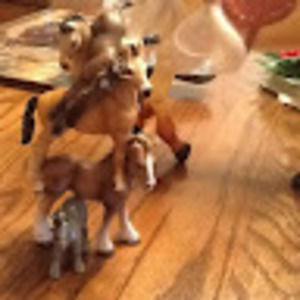 Meet your Posher, Julie